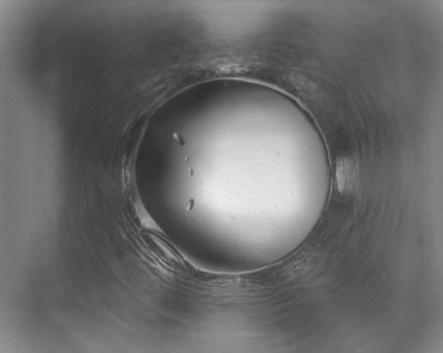X0000073761444200608031522
