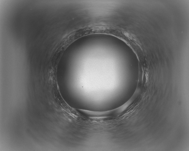X0000073761445200608031522