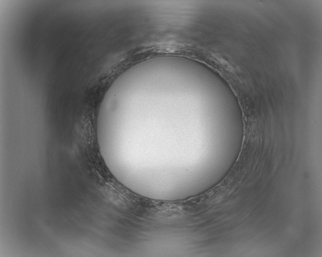 X0000073761446200608031522