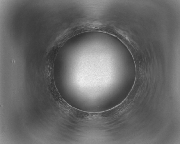 X0000073761447200608031522