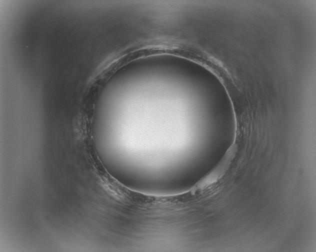 X0000073761448200608031522