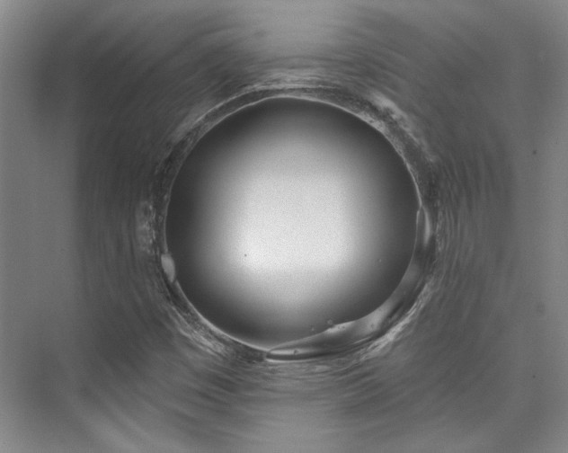 X0000073761449200608031522