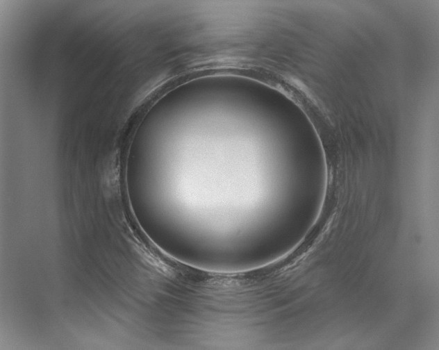 X0000073761450200608031522