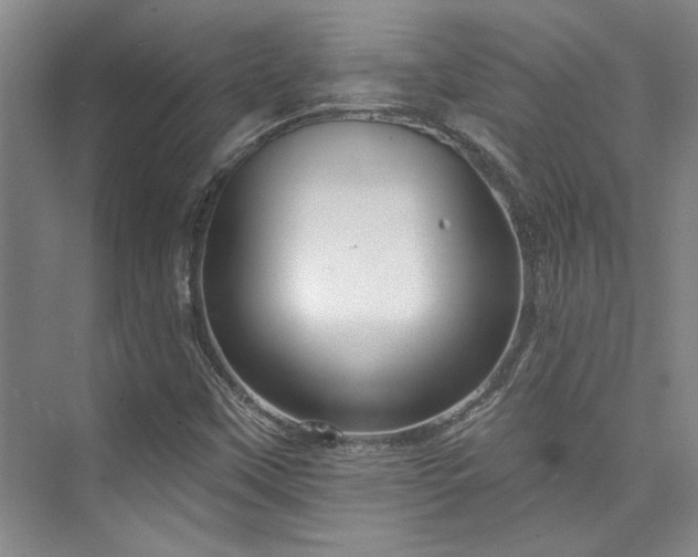 X0000073761451200608031522