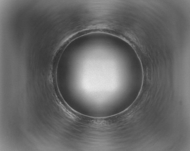 X0000073761452200608031522