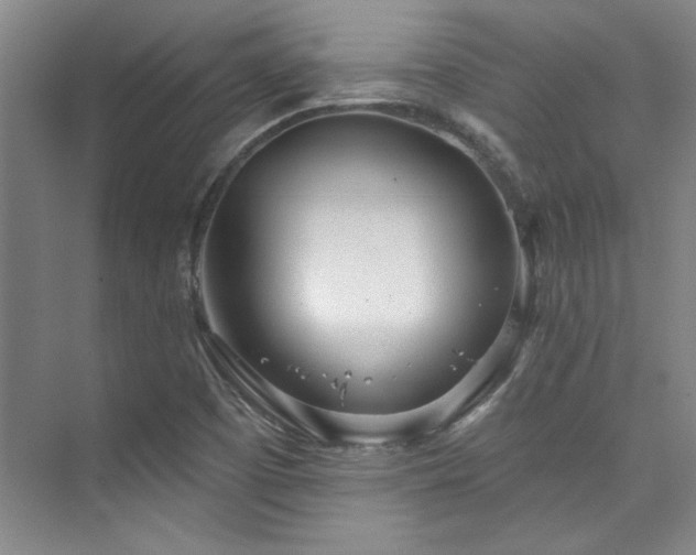 X0000073761457200608031521