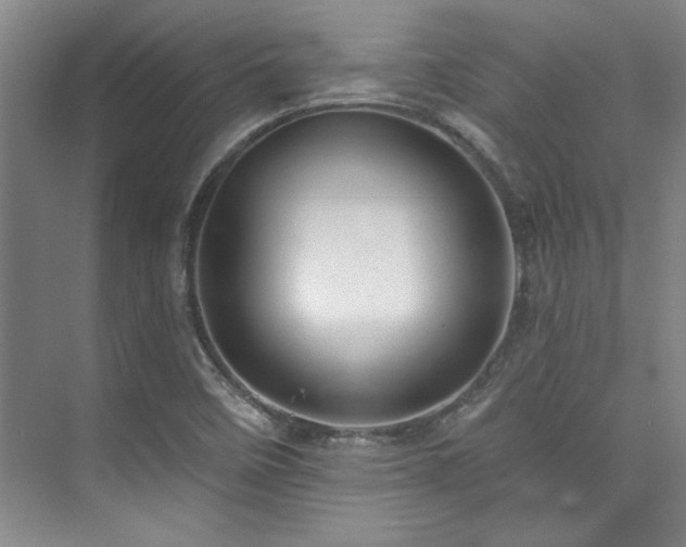 X0000073761458200608031521