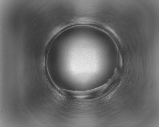X0000073761461200608031521