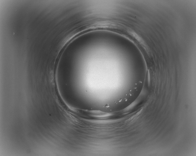 X0000073761465200608031521