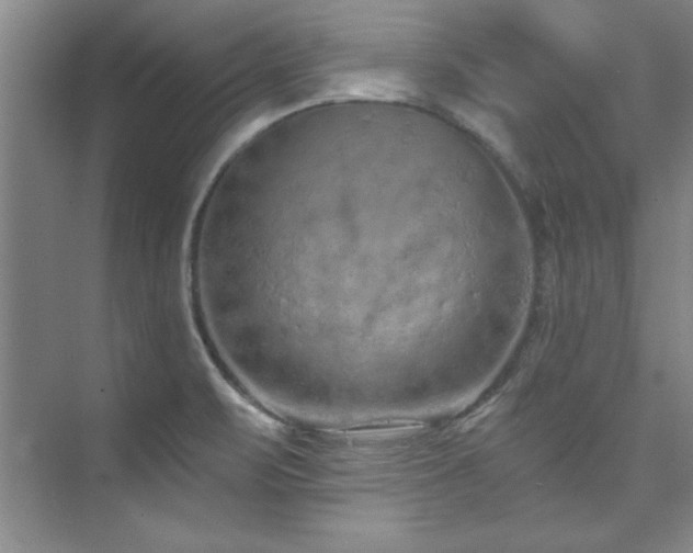 X0000073761471200608031521