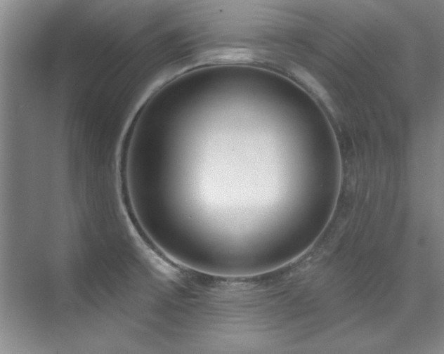 X0000073761475200608031521