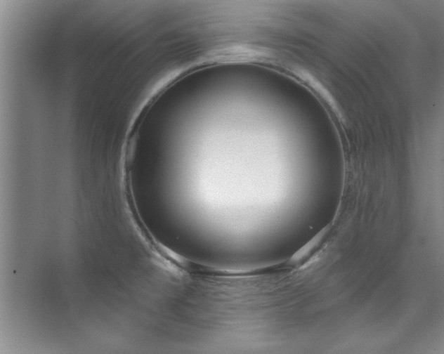 X0000073761477200608031521