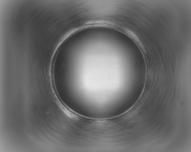 X0000073761482200608031521