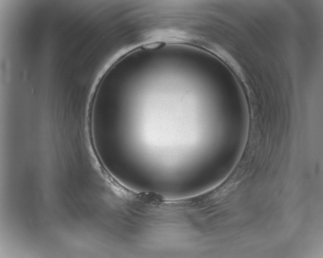 X0000073761488200608031521