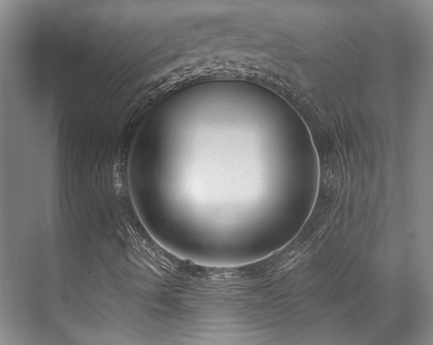 X0000073761490200608031520
