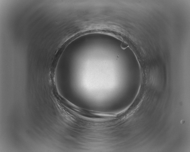 X0000073761497200608031520