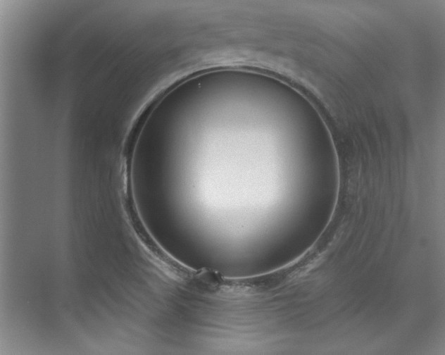 X0000073761509200608031521