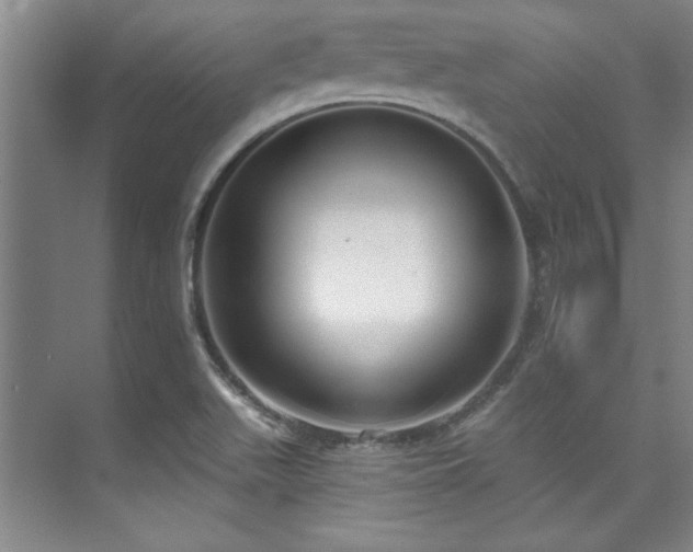 X0000073761511200608031521