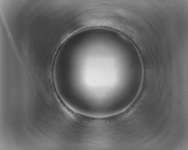 X0000073761521200608031521