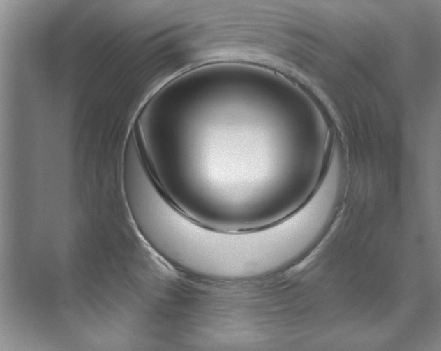 X0000073761529200608031521
