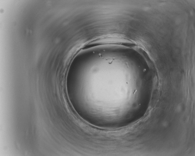 X0000073760001200608102057