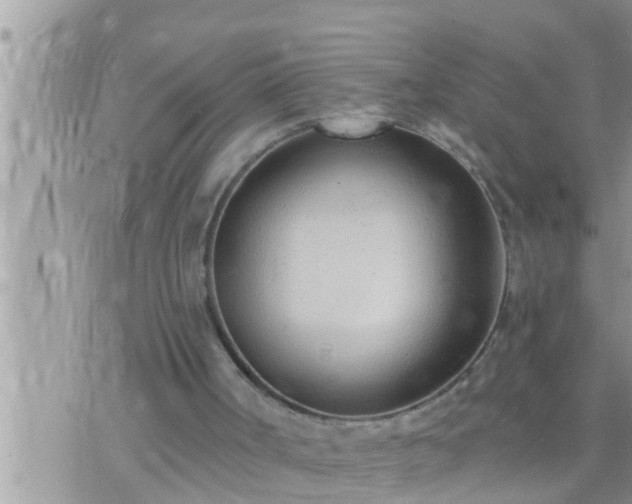 X0000073760002200608102057