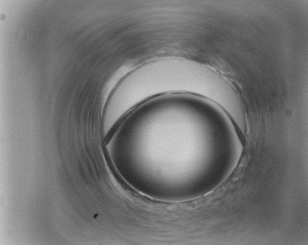 X0000073760003200608102057