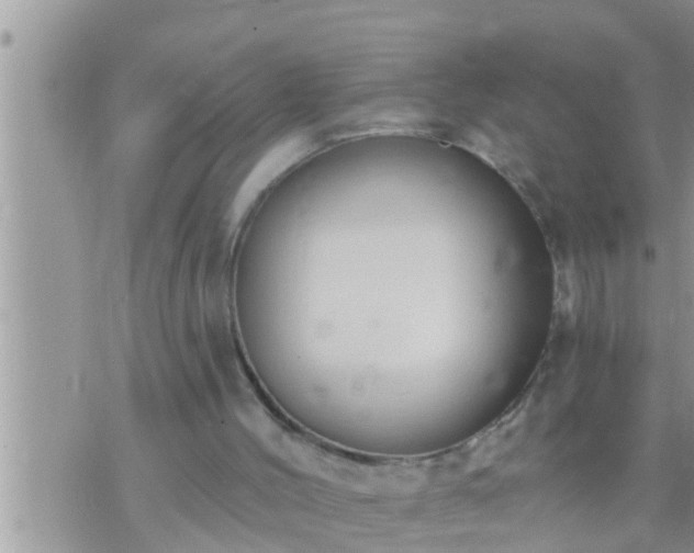 X0000073760004200608102057