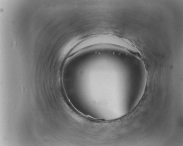 X0000073760005200608102057