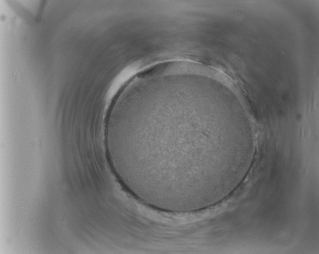 X0000073760006200608102057