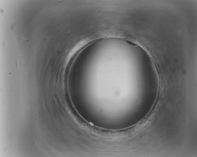 X0000073760008200608102057