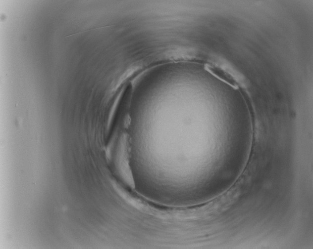 X0000073760009200608102057