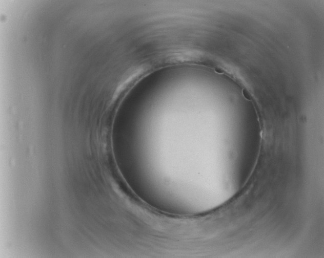 X0000073760010200608102057