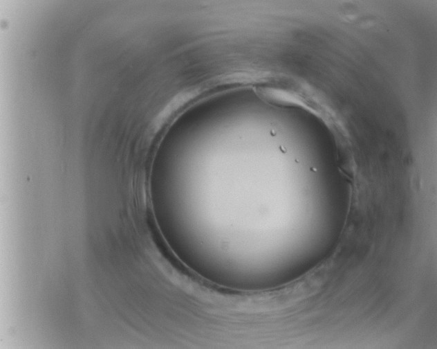 X0000073760011200608102057