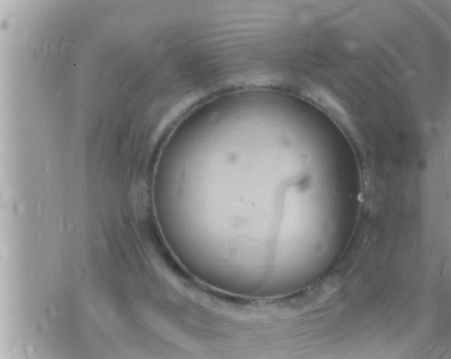 X0000073760012200608102057