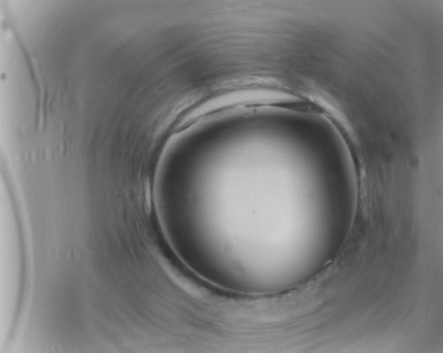 X0000073760013200608102057