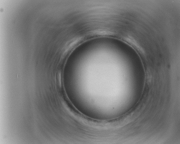 X0000073760014200608102057