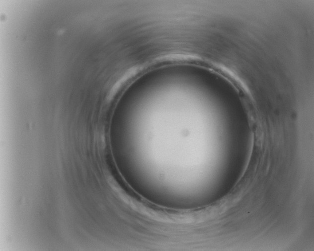 X0000073760015200608102057