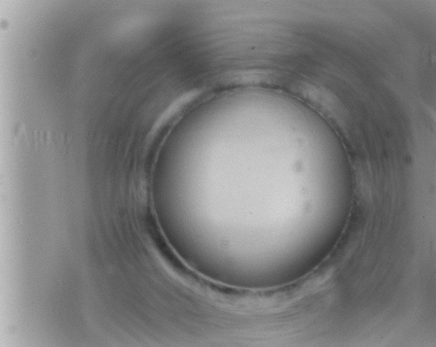 X0000073760016200608102057