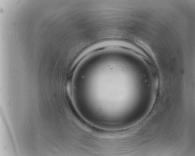 X0000073760017200608102057