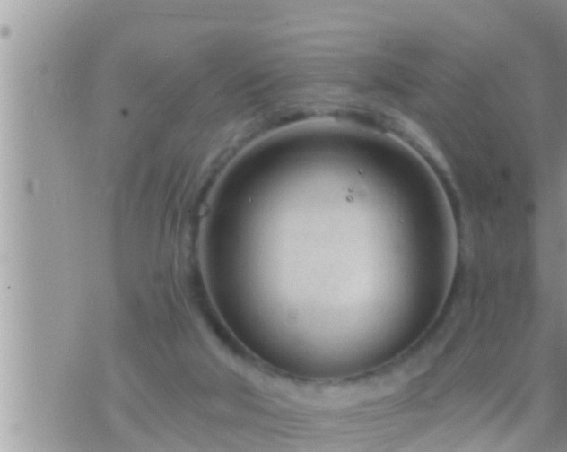 X0000073760018200608102057