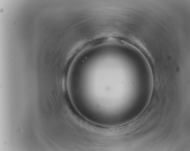 X0000073760019200608102057