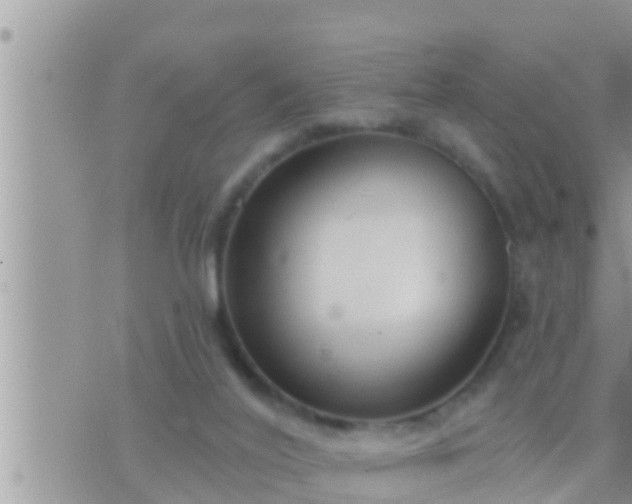 X0000073760020200608102057