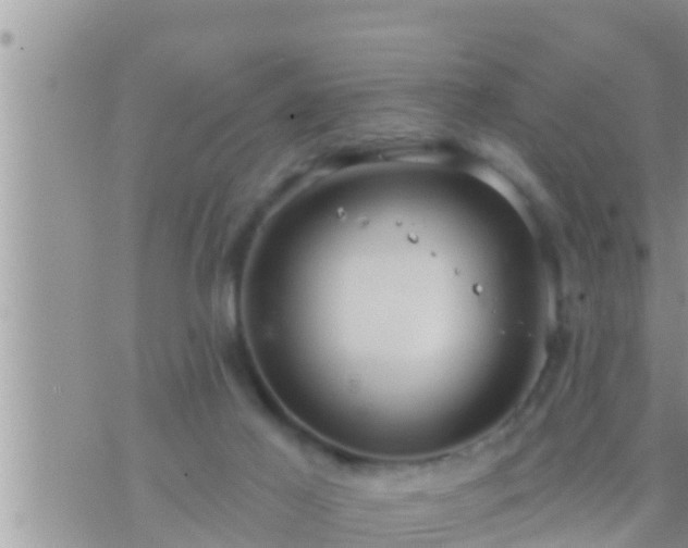 X0000073760021200608102057