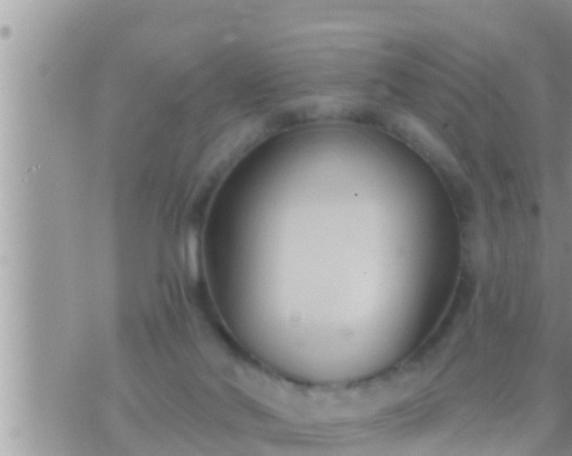 X0000073760022200608102057