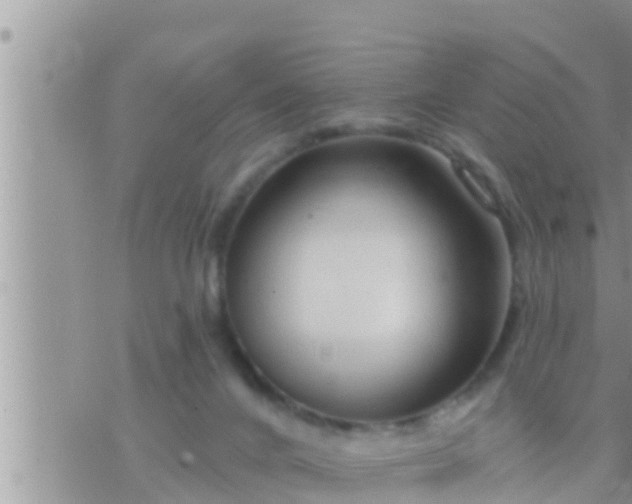 X0000073760024200608102057