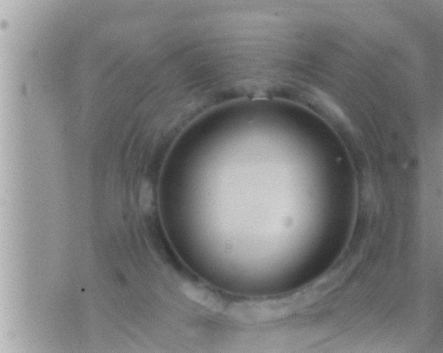 X0000073760025200608102057