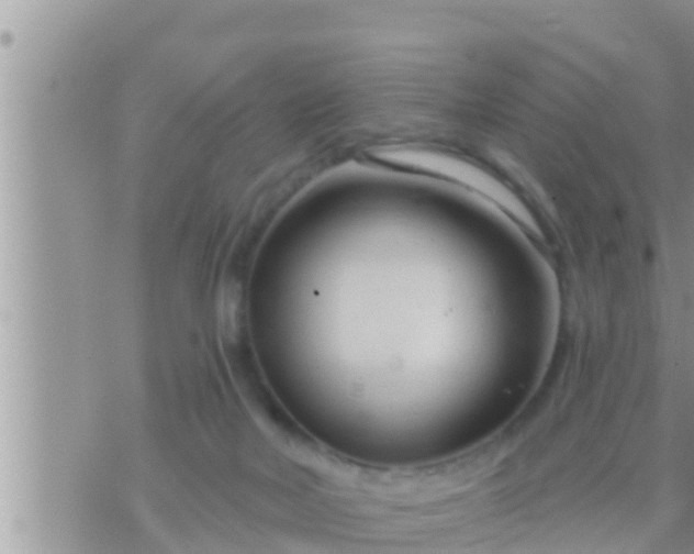 X0000073760026200608102057