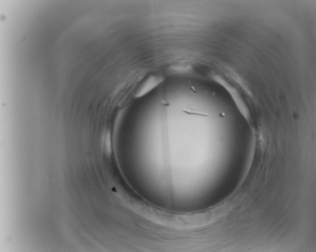 X0000073760027200608102057