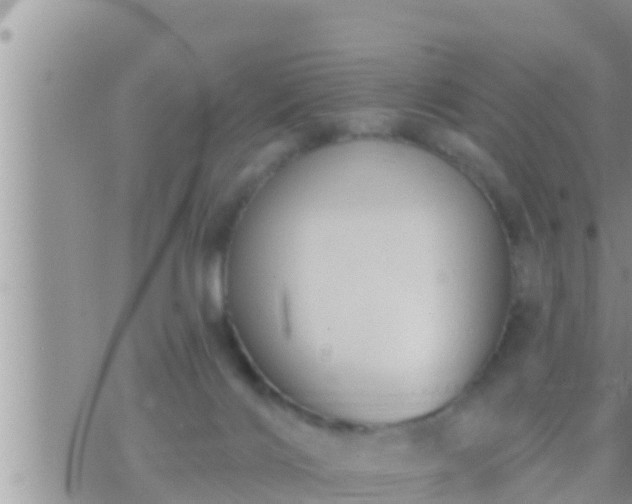 X0000073760028200608102057